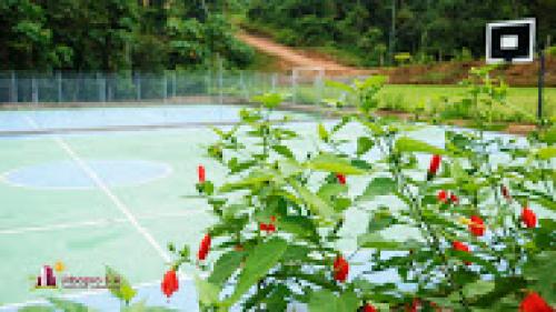 Terrenos En Ambiente Ecologico A Buen Precio