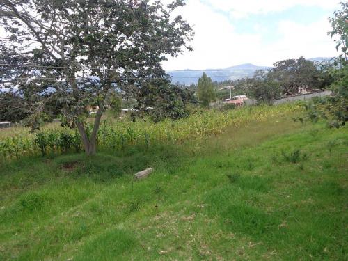 Terreno en Venta SECTOR COLLAQUÍ