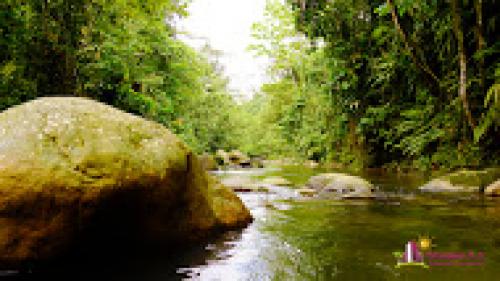 TERRENOS A LA VENTA EN ZONA SUBTROPICAL