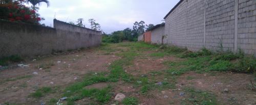 TERRENOS DE VENTA - PASAJE- EL ORO 