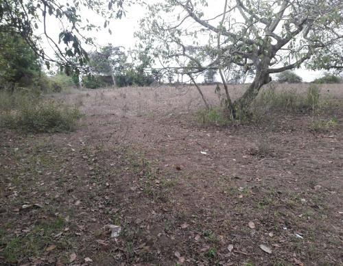 EN CHALTURA VENDO 5 HECTÁREAS PLANAS