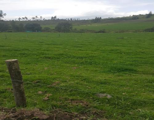 FINCA GANADERA EN VENTA EN CAYAMABE
