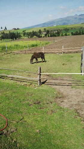 QUINTA DE 2,7HAS EN CAYAMBE