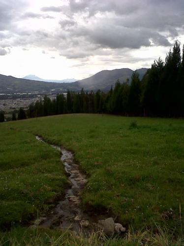 FINCA DE 22HAS PARA GANADERÍA O AGRICULTURA DE ROSAS EN CAYAMBE