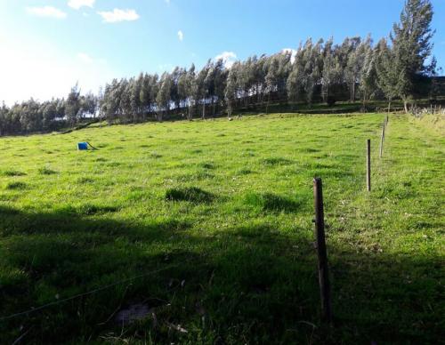 TERRENO EN VENTA APTO PARA PISCICULTURA CAYAMBE