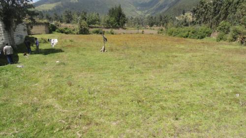 Vendo lote esquinero en el sector de 4 esquinas perteneciente a San Pablo