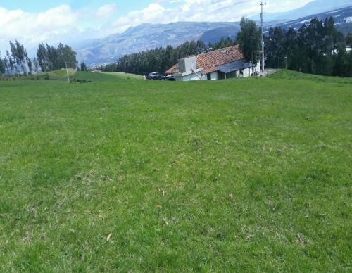 HACIENDA GANADERA 12 HAS EN CAYAMBE