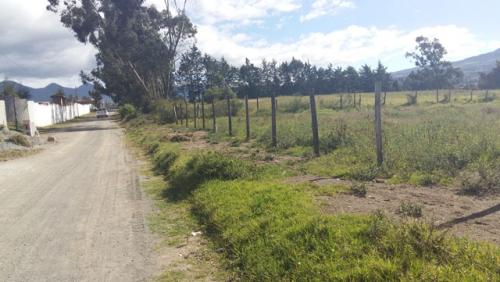 Vendo terreno de 1000 m2 en Cotacachi