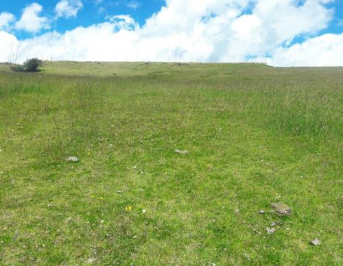 TERRENO EN VENTA OLMEDO 7413 M2