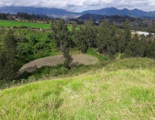 PROPIEDAD DE 15 HECTÁREAS OTAVALO 