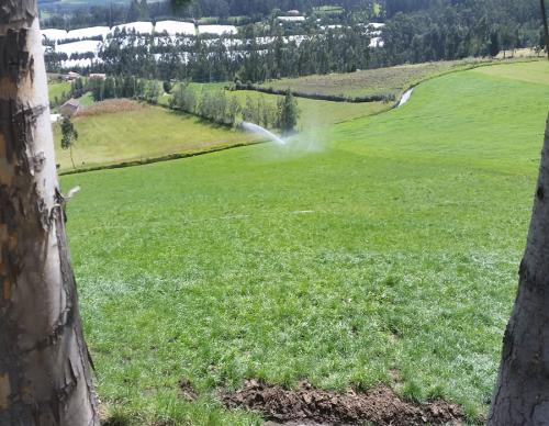 HACIENDA GANADERA Y PARA FLORICOLA ABUNDANTE AGUA