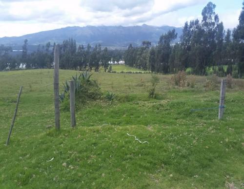 HERMOSA PROPIEDAD DE 14 HECTAREAS PLANAS