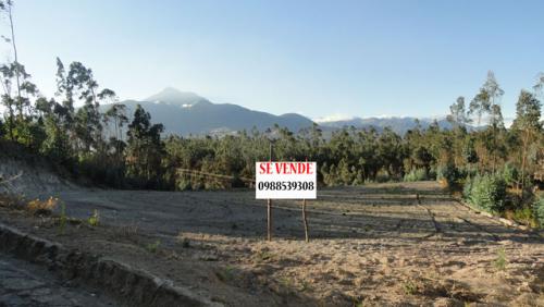 Vendo 6.000 m2 de terreno con bosque en Azama