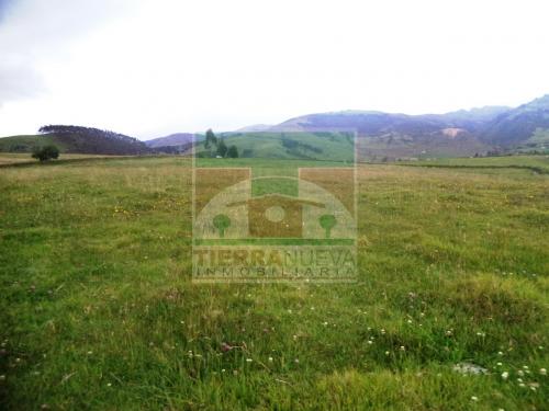 HERMOSAS 2½HAS EN CAYAMBE CON ABUNDANTE AGUA