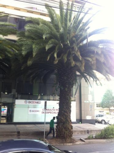 Quito, Arriendo departamento, Centro Norte 