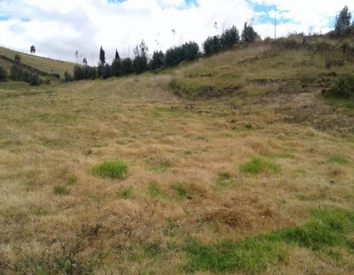 SE VENDE UN TERRENO DE 2.2 HETAREAS