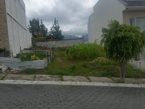 VENDO HERMOSO LOTE EN URBANIZACIÓN 