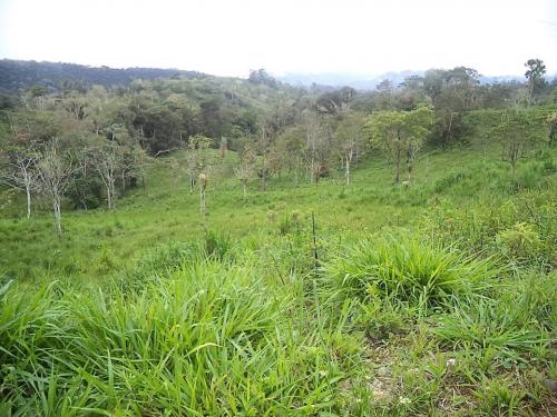 INMOBILIARIA DEL SUR VENDE FINCA 