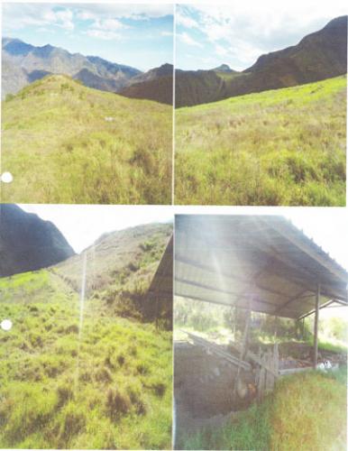 VENDO 55 HECTAREAS EN PARROQUIA LA CONCEPCION CANTON MIRA – CARCHI 