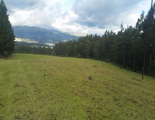 DE VENTA 11.5  HECTÁREAS EN TUPIGACHI