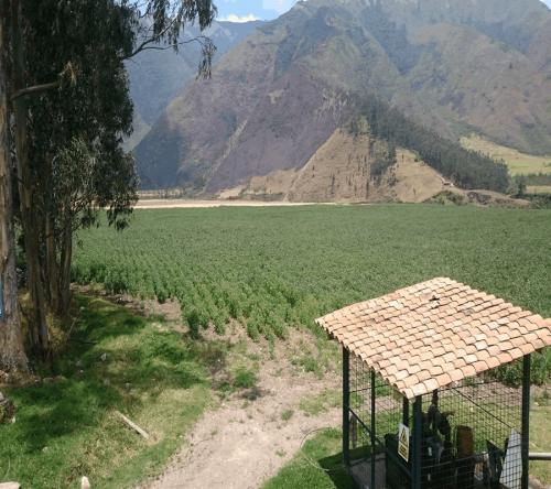 HACIENDA DE 40 HECTAREAS EN IBARRA 