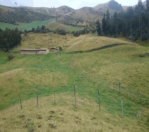 SE VENDE 80 HECTAREAS EN SAYARO