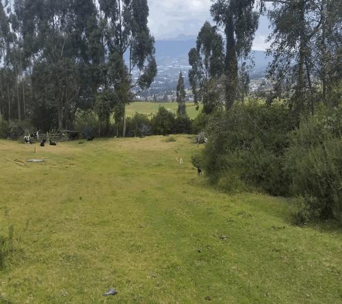 PROPIEDAD DE 8 HECTAREAS EN GUACHALA 