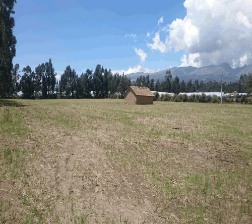 PROPIEDAD DE 4 HECTAREAS EN TABACUNDO 