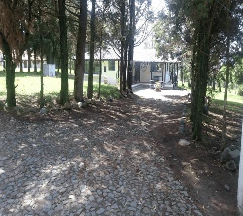 HERMOSA FINCA DE 30 HECTAREAS EN TABACUNDO 