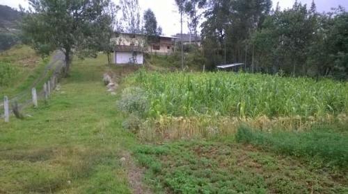 TERRENO EN SECTOR CAMPESTRE MONAY COCHAS 