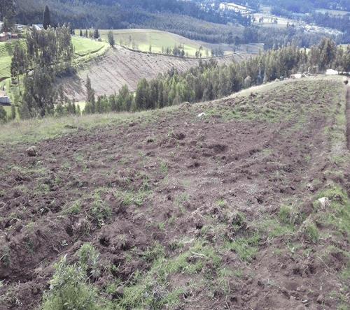PROPIEDAD DE 2.9 HECTAREAS EN CAYAMBE 