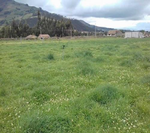 PROPIEDAD DE 5000M2 EN EL CENTRO DE OLMEDO-CAYAMBE 