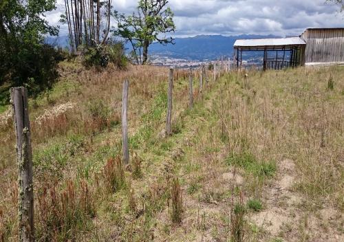 Terreno grande en via a Paccha