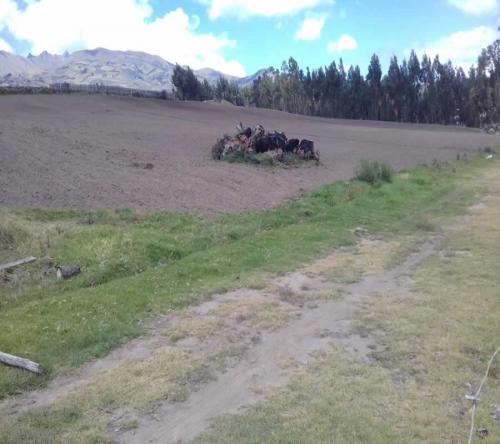 TERRENO DE 16.5 HECTAREAS EN TUPIGACHI-TABACUNDO