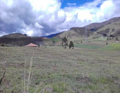 TERRENO DE 4.4 HECTAREAS EN OLMEDO