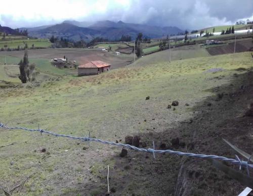 DE VENTA 10 HECTAREAS EN OLMEDO