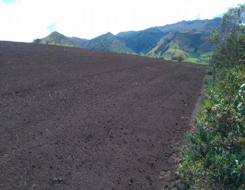 TIERRA AGRICOLA Y GANADERA  DE 7 HECTAREAS EN OLMEDO 