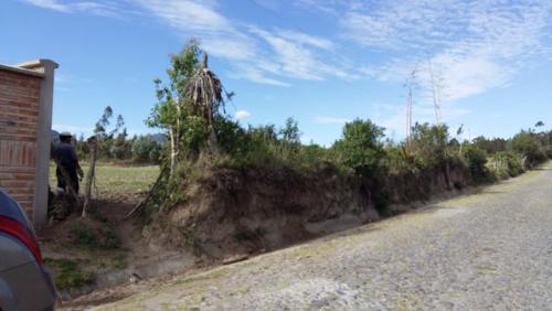 Se vende 2 hectáreas y media en el sector de  Punje