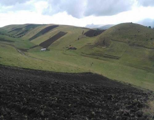 SE VENDE 7.5 HECTAREAS EN PISAMBILLA - CAYAMBE 
