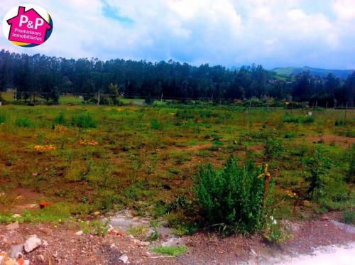Hermoso Lote en Venta de 2950m² Ubicado en Pifo via a Palugo