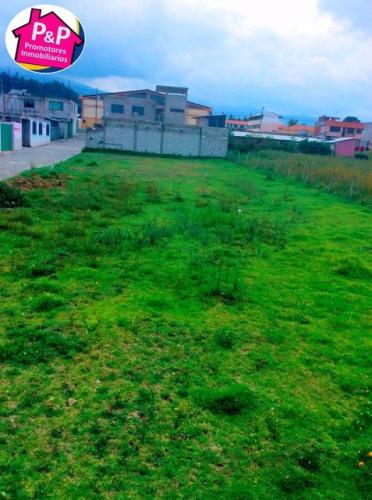 2 Lotes Urbanizados en Venta de 315 m² en Pifo Cerca a Coliseo y Mercado Central 