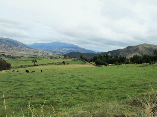 PRECIOSAS 4 HECTAREAS EN LACHIMBA - OLMEDO 
