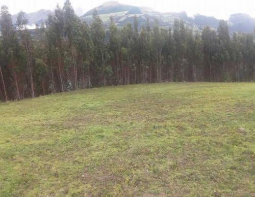 2000M2 EN OLMEDO VIA A ZULETA 