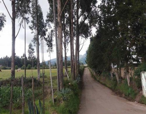 TERRENO DE 16800M2 EN TABACUNDO