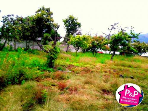 Hermoso Terreno en Venta de 4923.50 m² en La Parroquia de Tumbaco cerca a la via principal