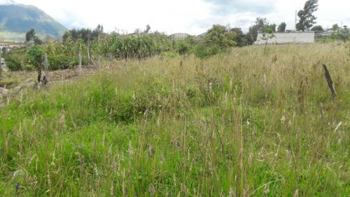 Vendo terreno de 350 m2 en Otavalo