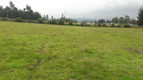 Se vende 2 hectáreas de terreno en Tabacundo