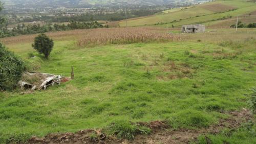 Se vende en Otavalo 4013 m2 en el sector rural Comunidad Guananci