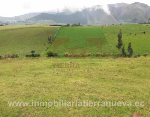 1.5 HAS EN LA  CHMBA - OLMEDO 