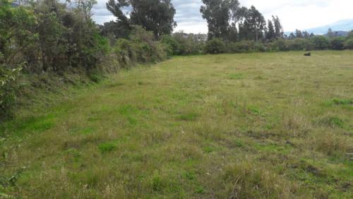 Vendo terreno en Otavalo en el sector de Gonzales Suarez